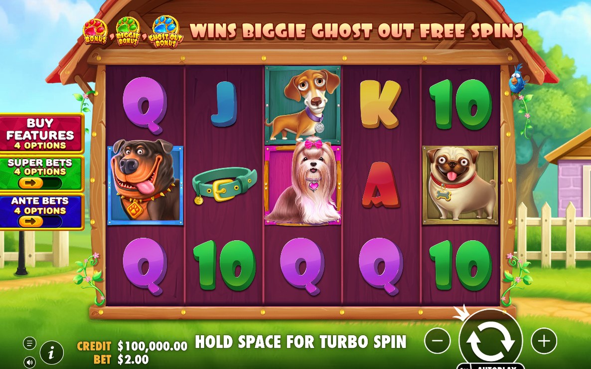 The Big Dog House